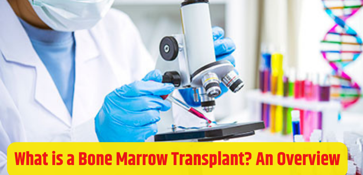 What is a Bone Marrow Transplant? An Overview