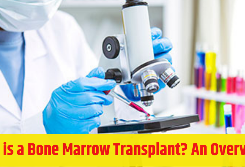 What is a Bone Marrow Transplant? An Overview