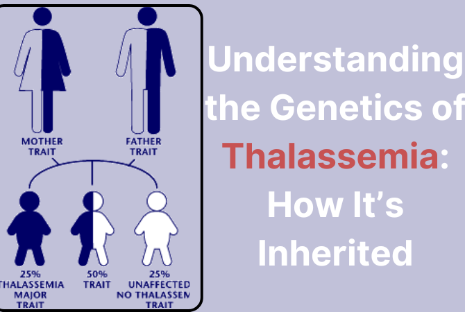 Understanding the Genetics of Thalassemia: How It’s Inherited