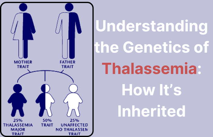 Understanding the Genetics of Thalassemia: How It’s Inherited