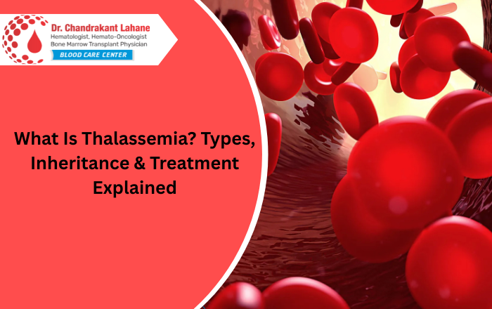What Is Thalassemia? Types, Symptoms, Inheritance & Treatment | Thalassemia Specialist in Pune